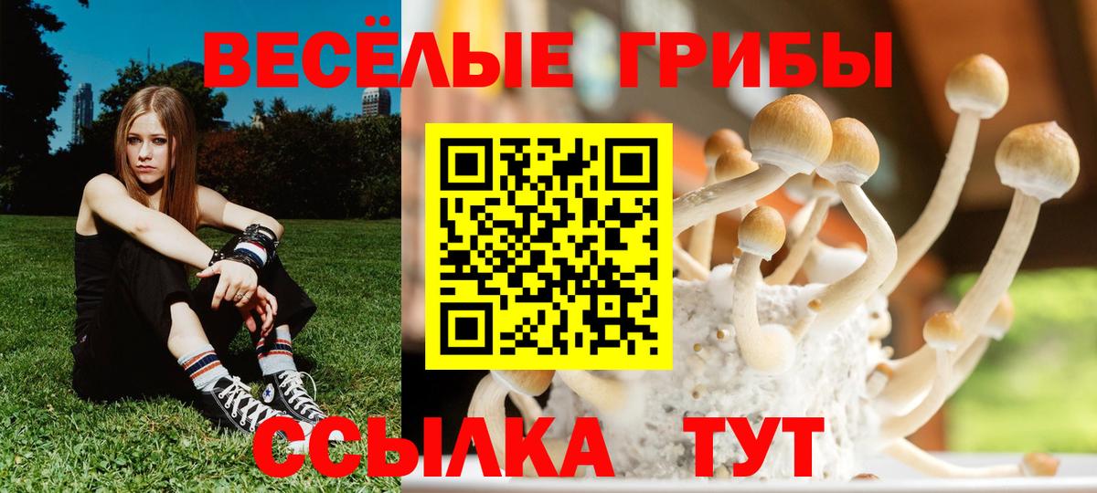 Улан-Удэ  Галлюциногенные грибы GOLDEN TEACHER  Галлюциногенные грибы прущие грибы  Вход с VPN 